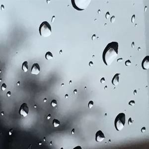 Meet your Posher, Shanel